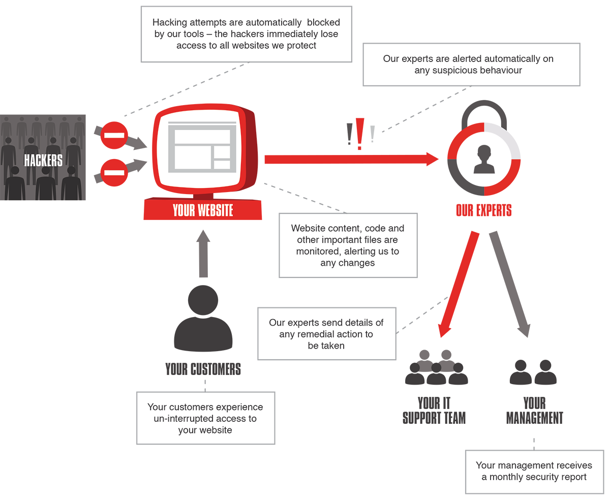 Web Security + How It Works process illustration